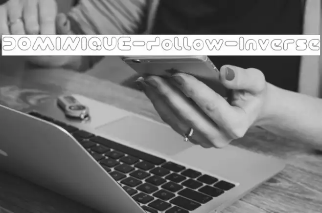 DOMINIQUE-Hollow-Inverse Example 2