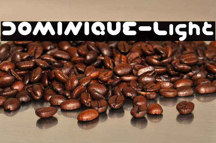 DOMINIQUE-Light Example 1