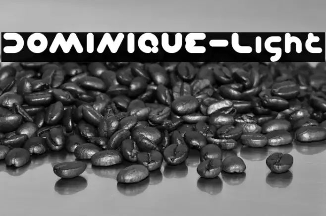 DOMINIQUE-Light Example 1