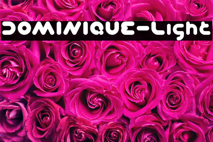 DOMINIQUE-Light Example 2