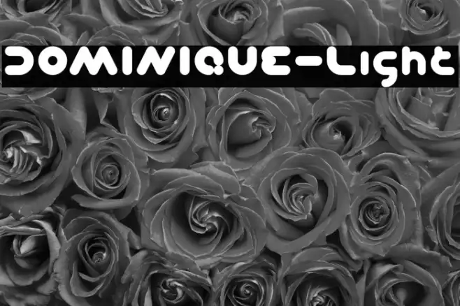 DOMINIQUE-Light Example 2