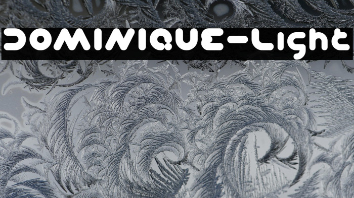 DOMINIQUE-Light Example 3