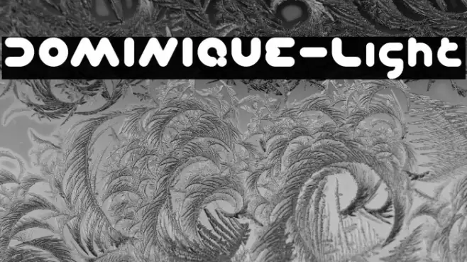 DOMINIQUE-Light Example 3