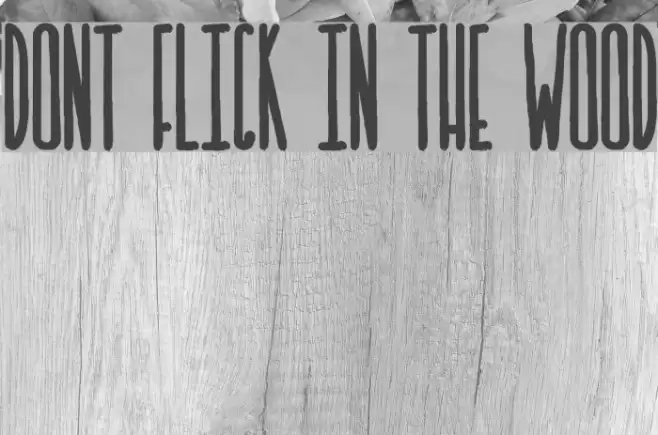 DONT FLICK IN THE WOOD Font examples