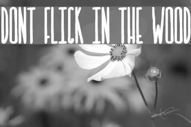 DONT FLICK IN THE WOOD Font examples
