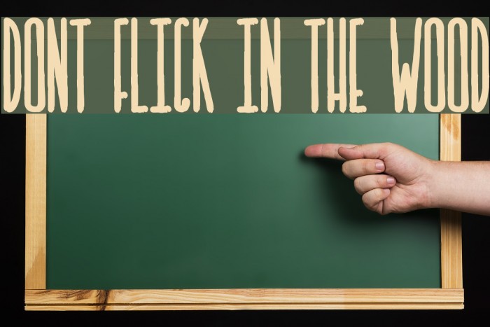 DONT FLICK IN THE WOOD Example 1
