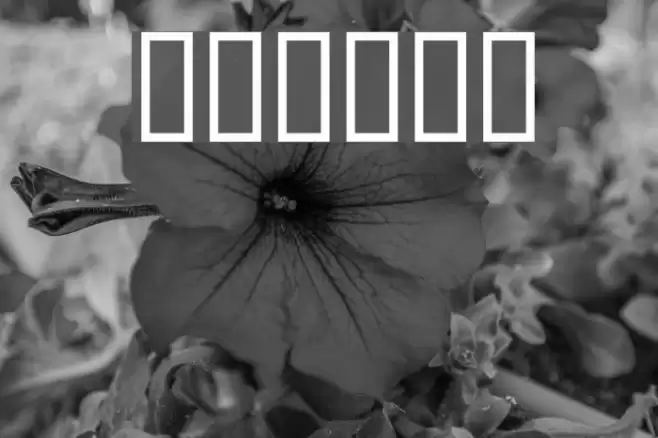 DOOMED Font examples