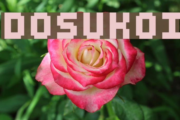 DOSUKOI Font examples