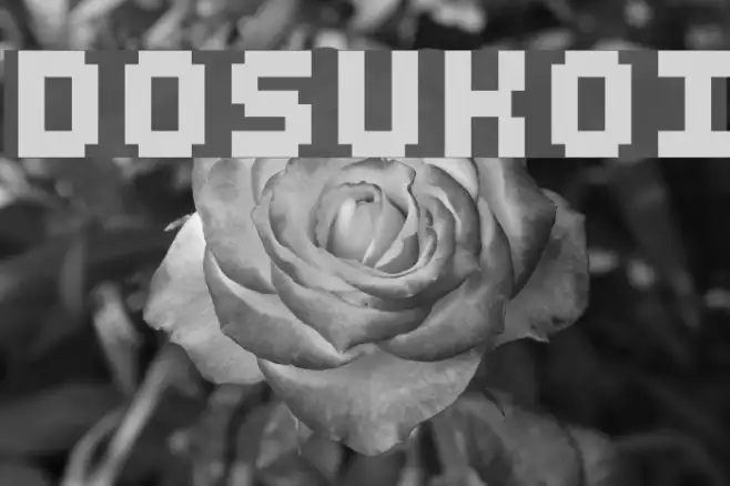 DOSUKOI Example 1