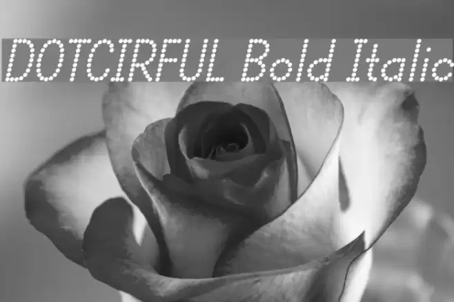 DOTCIRFUL Bold Italic Font examples