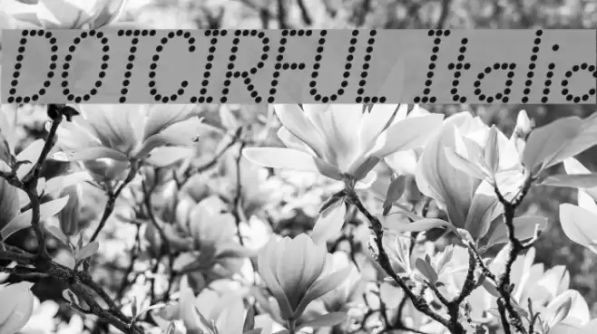 DOTCIRFUL Italic Fuentes examples