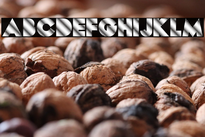 DOTZ PERSONAL USE Bold Example 1