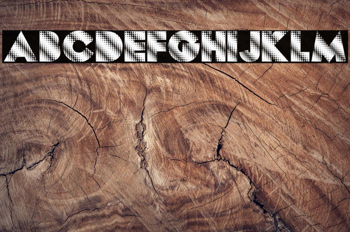 DOTZ PERSONAL USE Bold Example 3