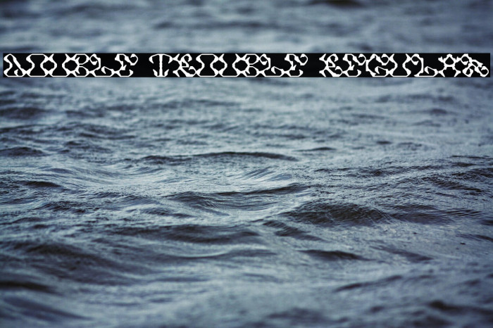 DOUBLE TROUBLE Regular Example 1