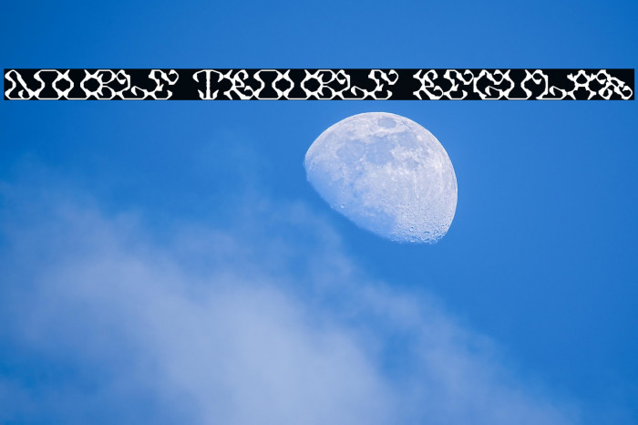 DOUBLE TROUBLE Regular Example 2