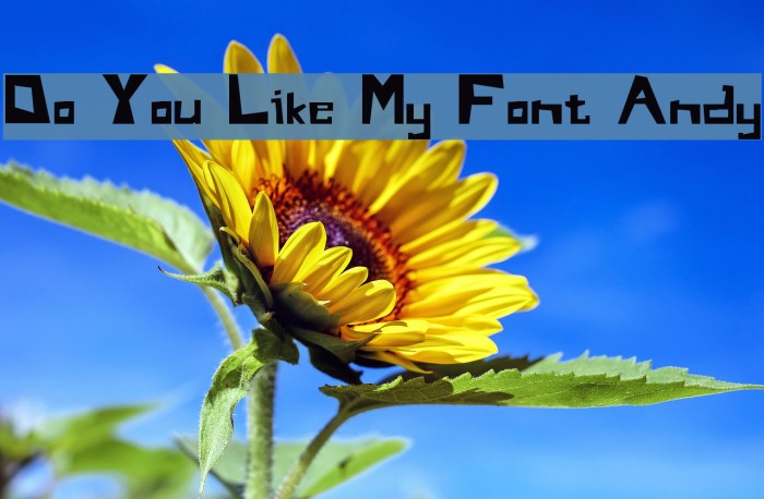 Do You Like My Font Andy Font examples