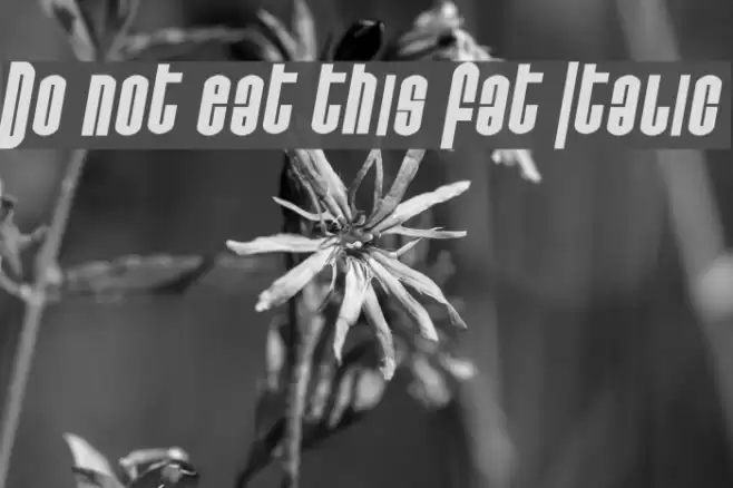 Do not eat this Fat Italic フォント examples