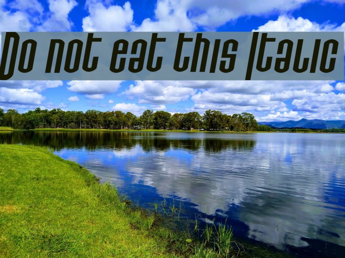 Do not eat this Italic Schriftart examples