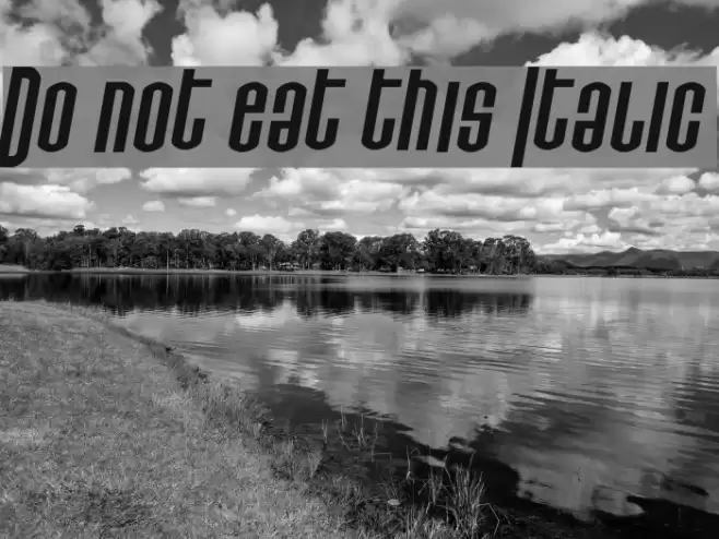 Do not eat this Italic Font examples