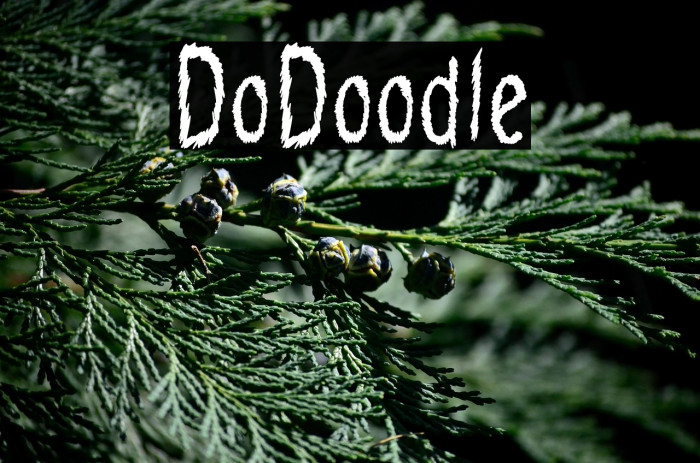 DoDoodle Example 1