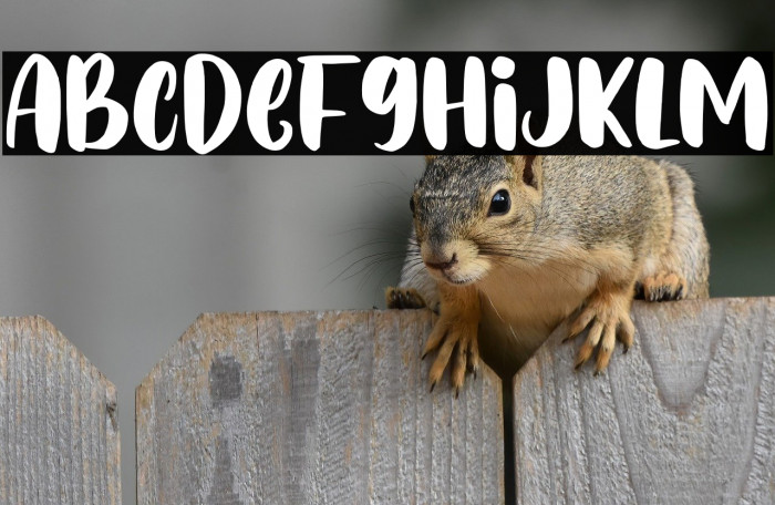 Dobby Duke Example 1