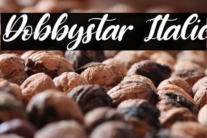 Dobbystar Italic Example 2