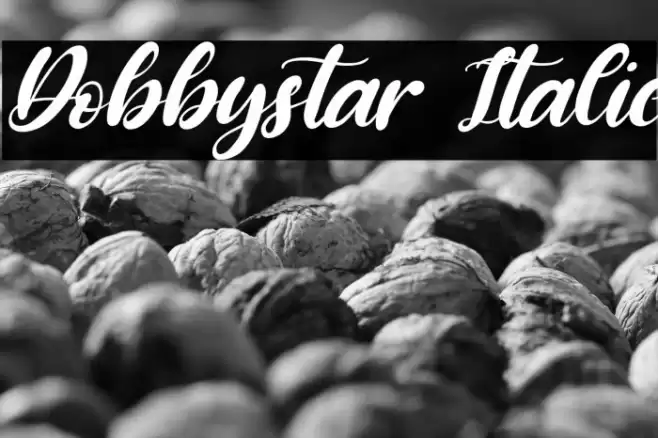 Dobbystar Italic Font examples