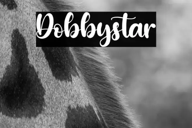 Dobbystar Font examples
