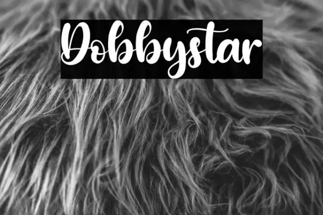 Dobbystar Font examples