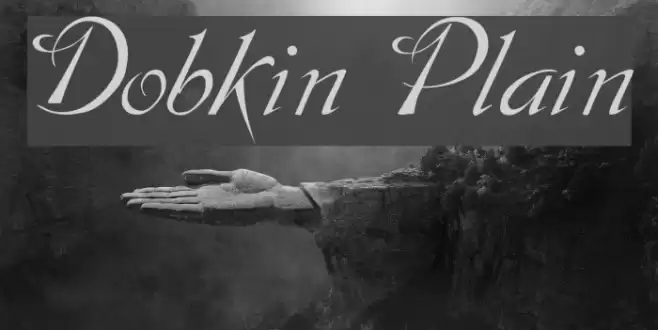 Dobkin Plain examples