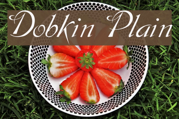 Dobkin Plain Caratteri examples