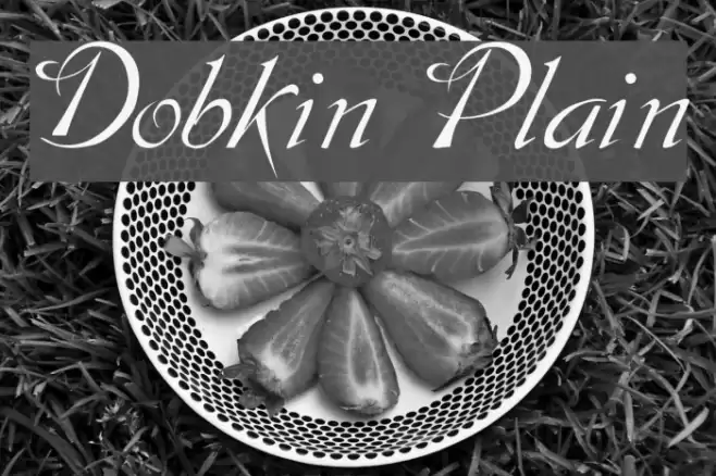 Dobkin Plain examples