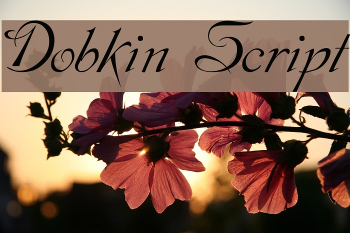 Dobkin Script Font examples