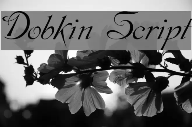 Dobkin Script examples
