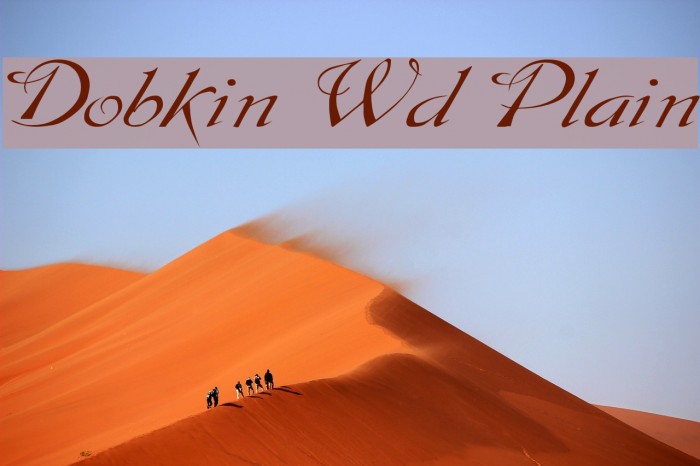 Dobkin Wd Plain Font examples