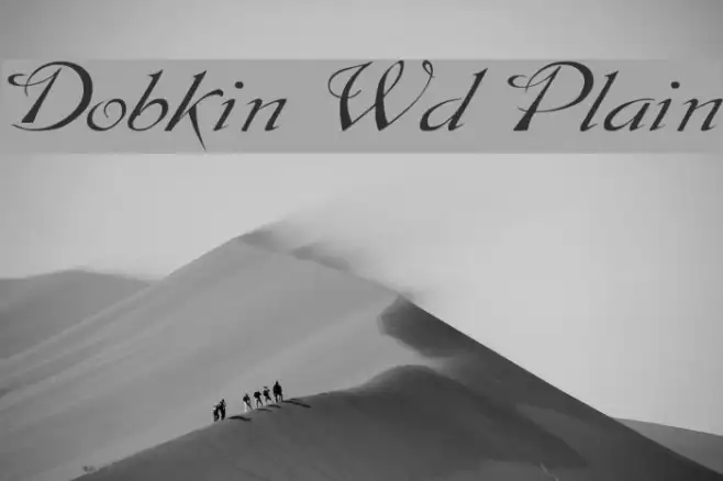 Dobkin Wd Plain Example 1