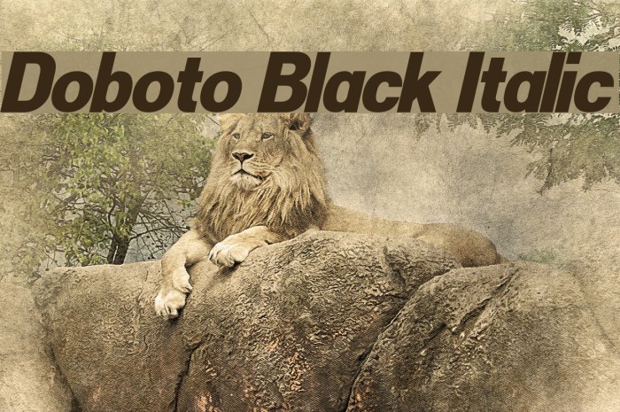 Doboto Black Italic Font examples