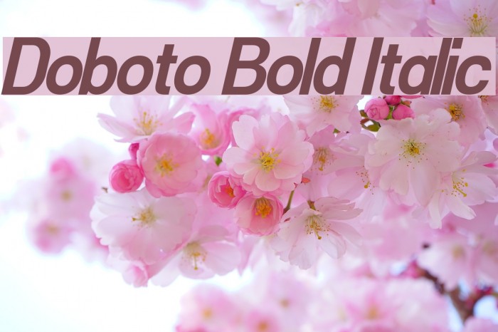 Doboto Bold Italic Font examples