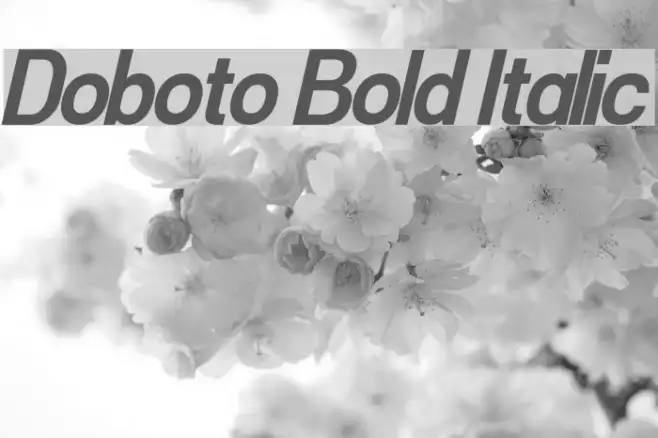Doboto Bold Italic Example 1