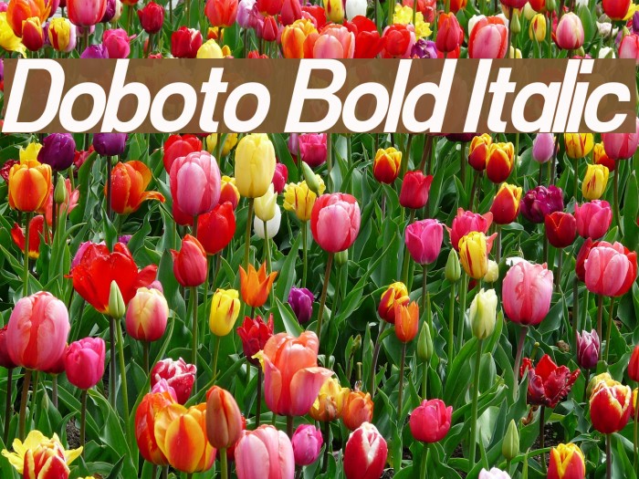 Doboto Bold Italic Font examples