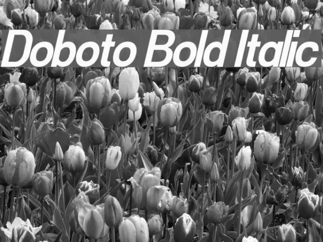 Doboto Bold Italic Example 3