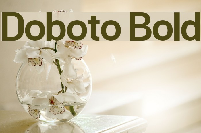 Doboto Bold Example 2