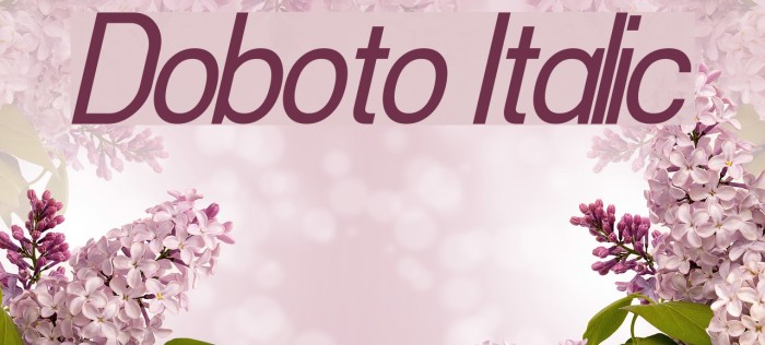 Doboto Italic Font examples