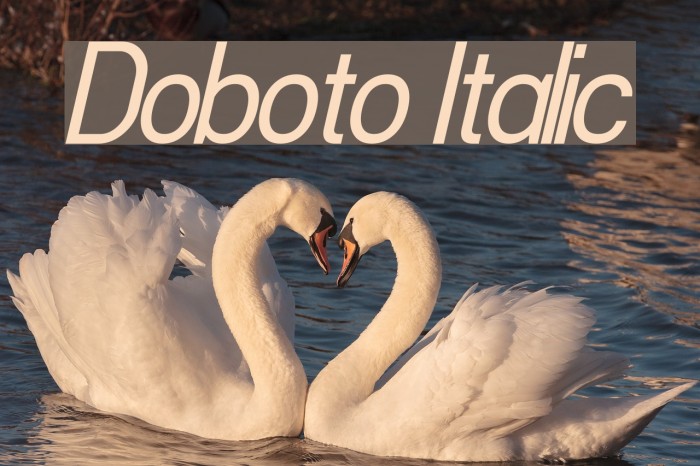 Doboto Italic Font examples