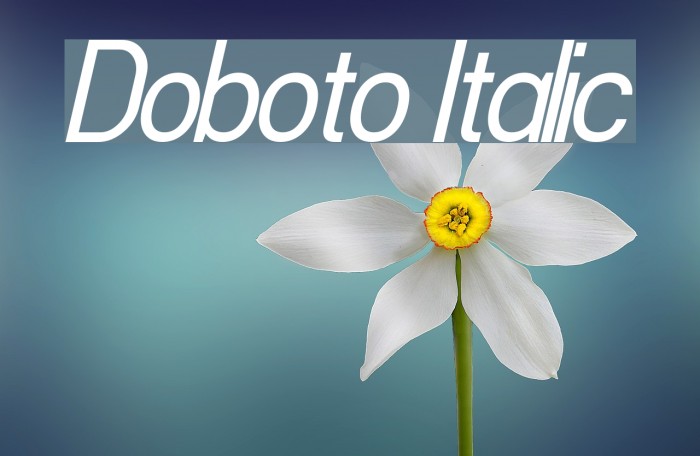 Doboto Italic Font examples