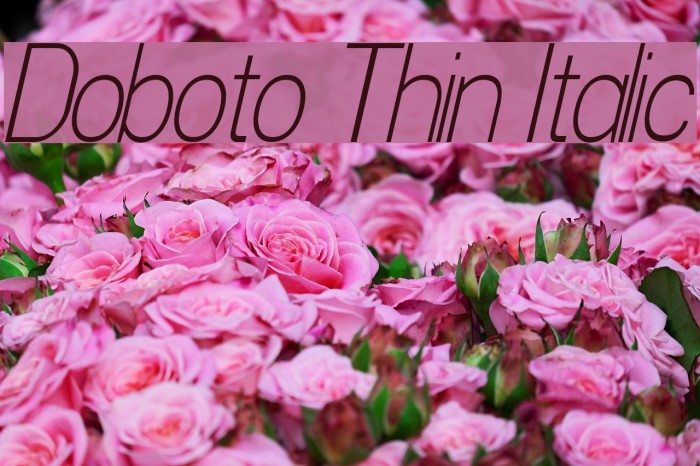 Doboto Thin Italic Font examples