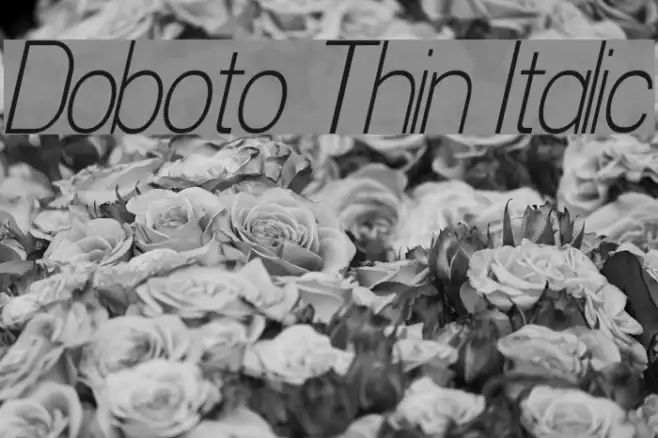 Doboto Thin Italic Example 1