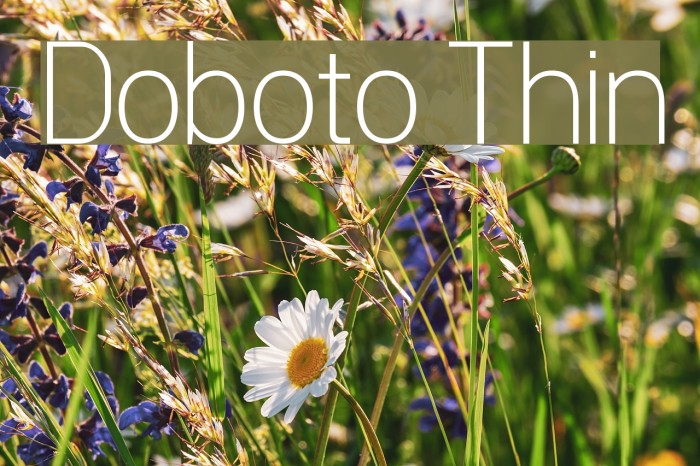 Doboto Thin Example 3