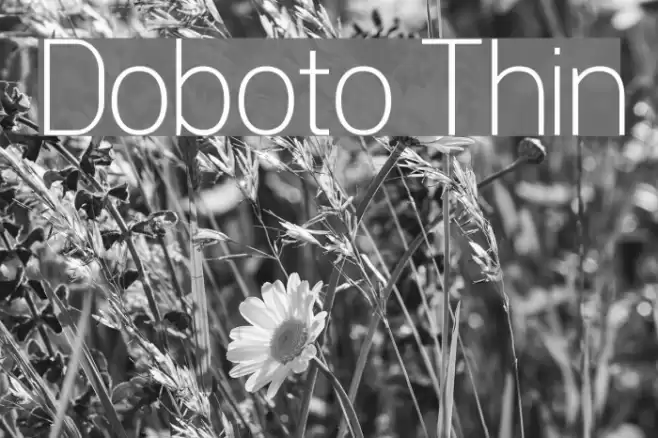 Doboto Thin Font examples