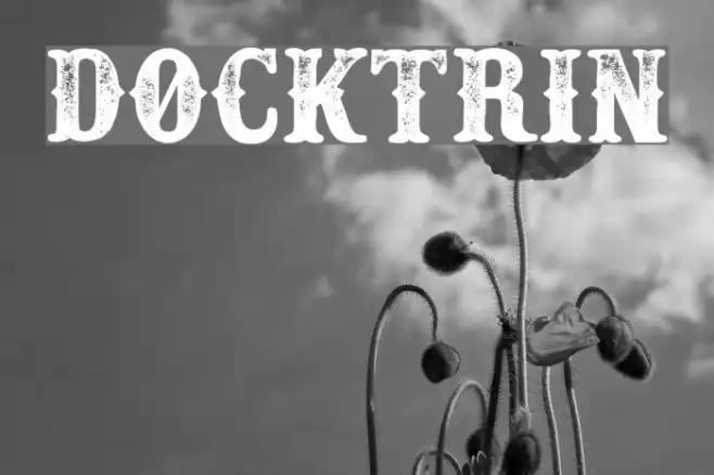 Docktrin Example 3